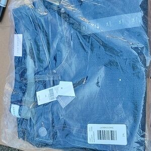 Lane Bryant Women's Blue Jeans